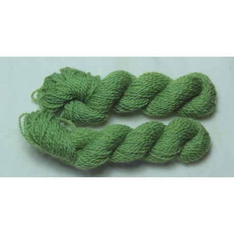 Echevettes mérinos - Vert clair Echevettes mérinos - Vert clair
