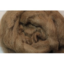 Shetland wool - Moorit
