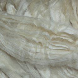 Tussah silk roving - white