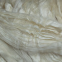 Soie Tussah ruban peigné blanche 50g