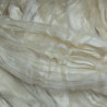 Soie Tussah ruban peigné blanche