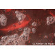 Merino wool and silk scarf - Madder red