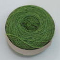 Laine 20/2 - vert clair gaude + indigo