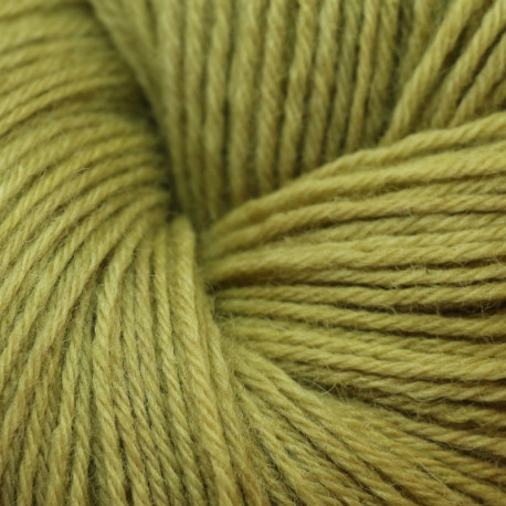 Laine 12/4 vert kaki gaude + fer