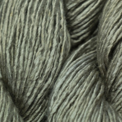 Soie schappe 1 brin - Eucalyptus + fer