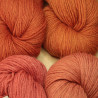 Laine 12/4 - Lot fin de stock orangés 4x100g
